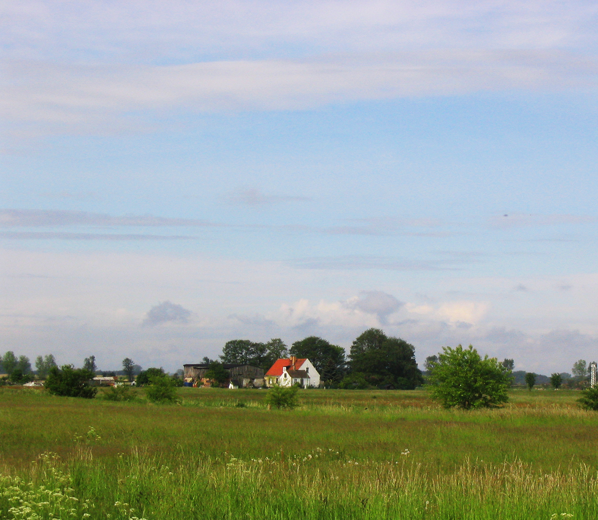 Karlshagen - Wiesen
